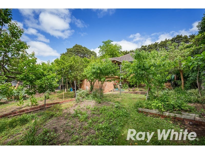 354 Middleborough Road, Blackburn VIC 3130