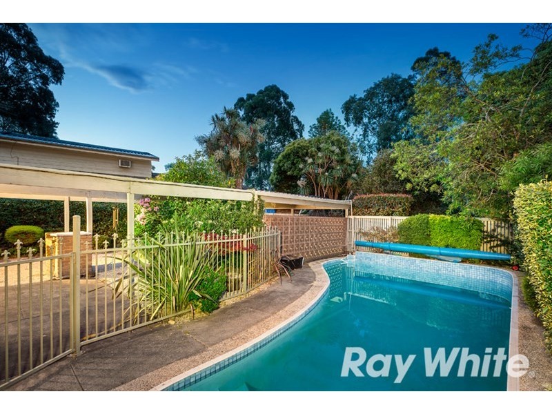 8 Norris Court, Blackburn VIC 3130