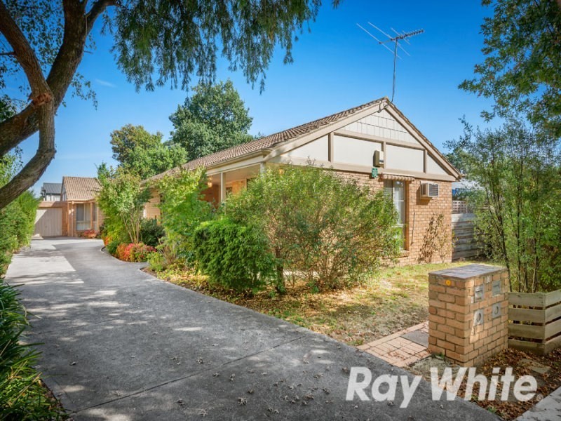1/16 Maple Street, Blackburn VIC 3130
