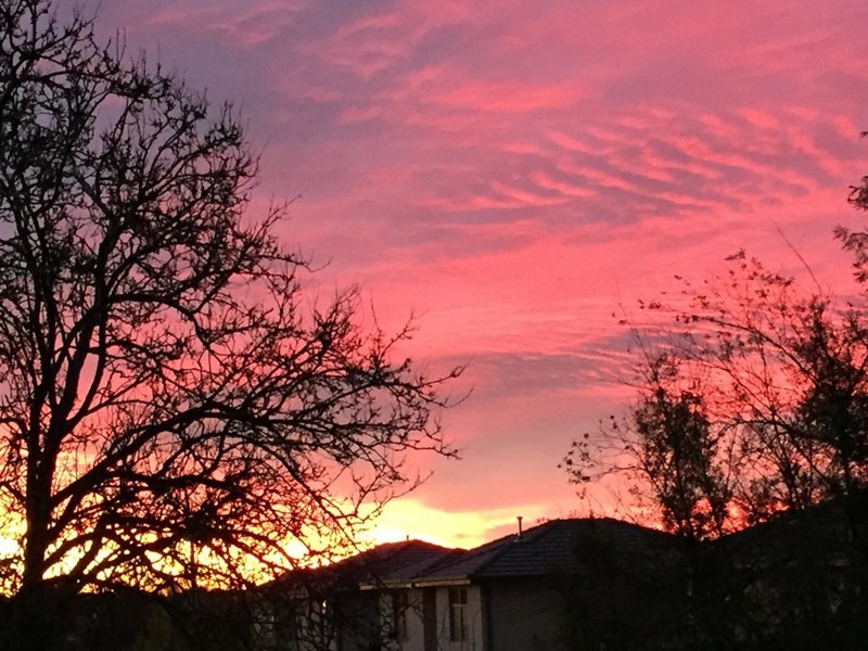 11 Loddon Street, Box Hill North VIC 3129