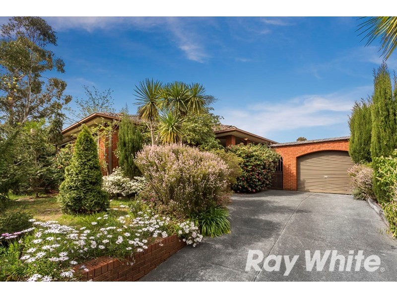 119 Morack Road, Vermont South VIC 3133