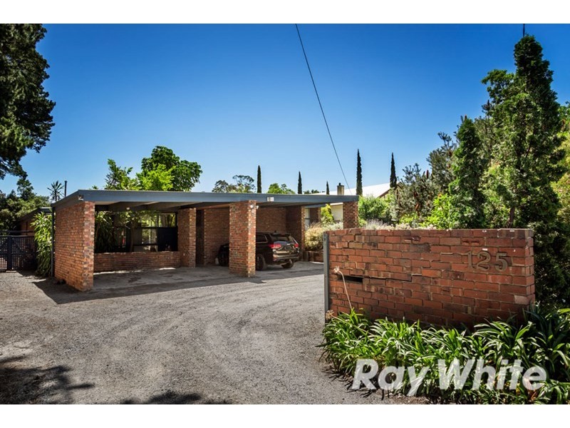 125 Warrandyte Road, Ringwood North VIC 3134