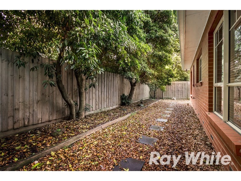 5 Duncan Street, Box Hill South VIC 3128