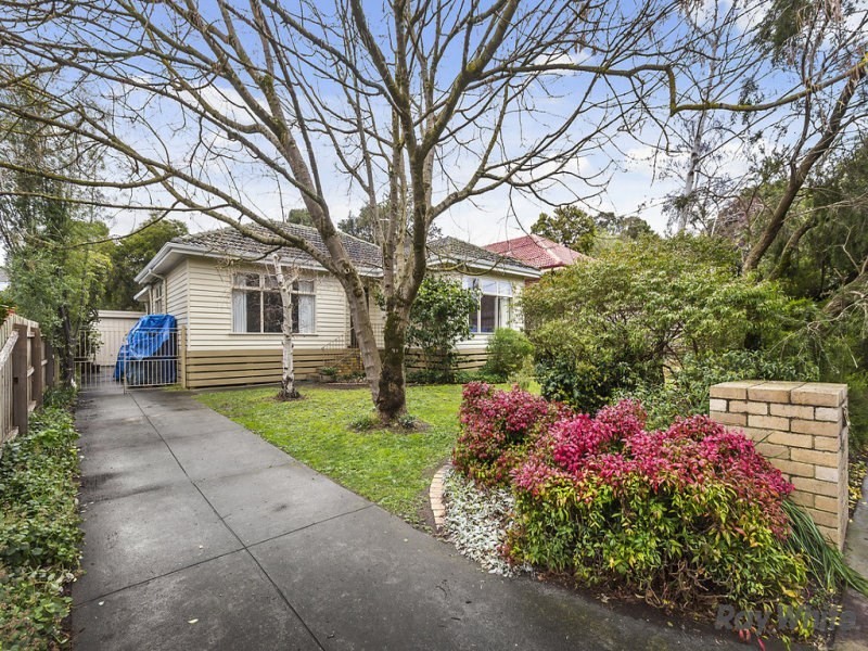 7 Halsey Street, Box Hill South VIC 3128