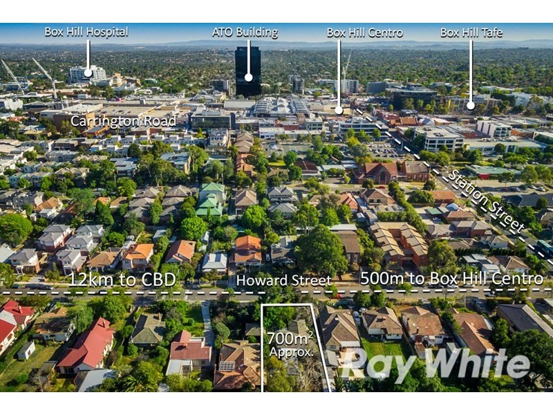 13 Howard Street, Box Hill VIC 3128