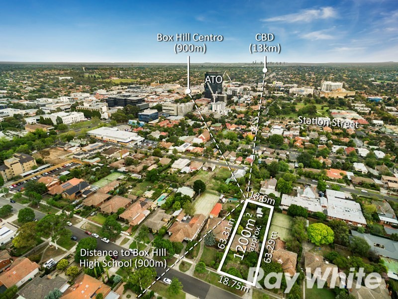 21 Graham Place, Box Hill VIC 3128