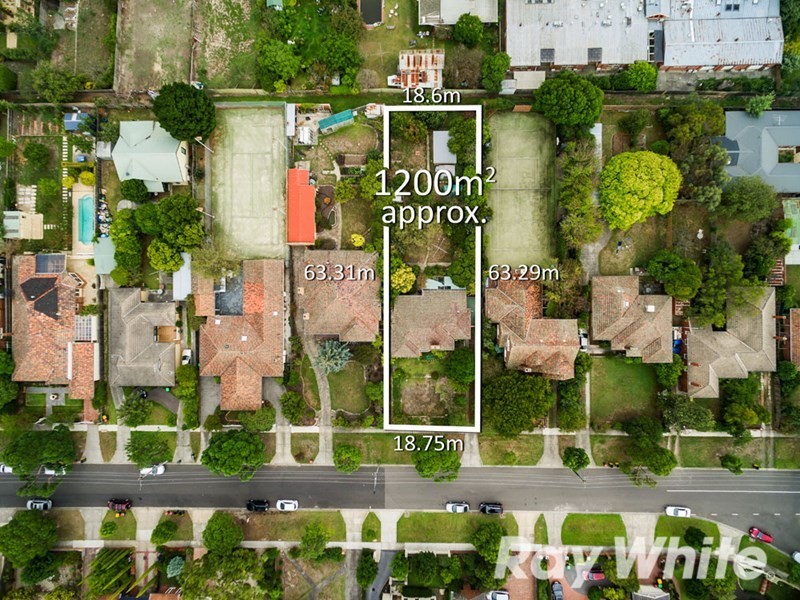 21 Graham Place, Box Hill VIC 3128