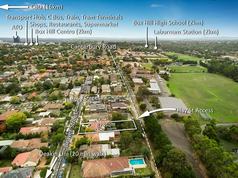 7 Beaver Street, Box Hill South VIC 3128