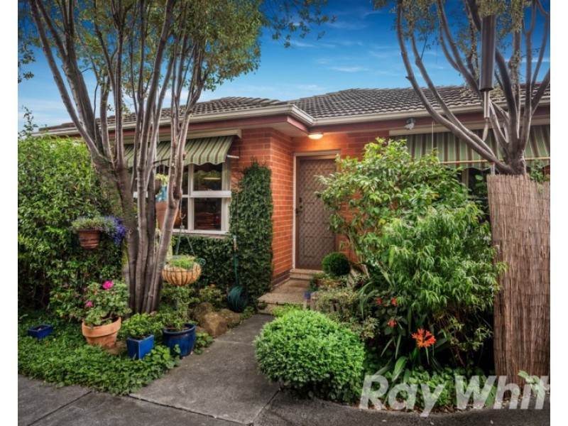 3/2 Williamson Road, Mont Albert North VIC 3129