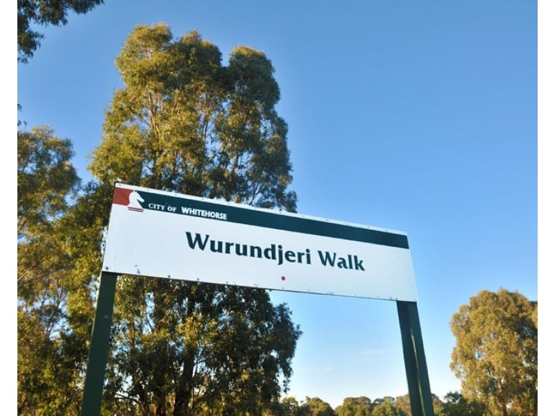 9 Mingeta Avenue, Blackburn South VIC 3130