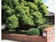 1/66 Blackburn Road, Blackburn VIC 3130