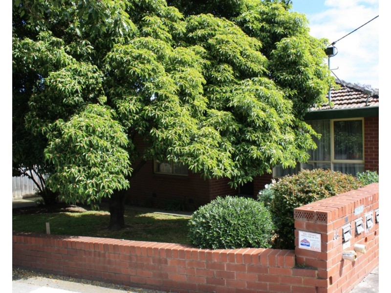 1/66 Blackburn Road, Blackburn VIC 3130