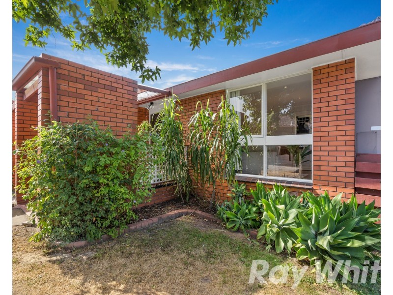 8/22 Mount Pleasant Road, Nunawading VIC 3131