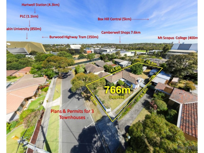 14 Delany Avenue, Burwood VIC 3125