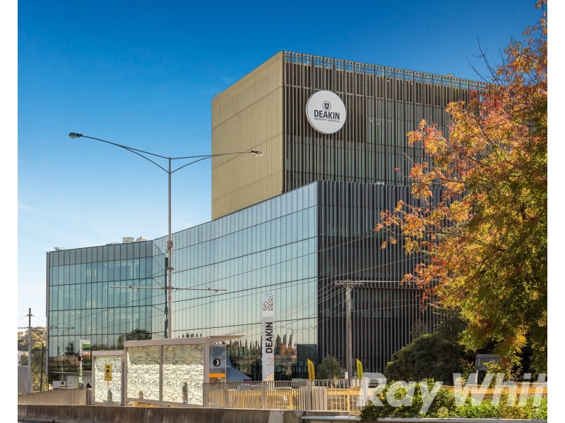 14 Delany Avenue, Burwood VIC 3125