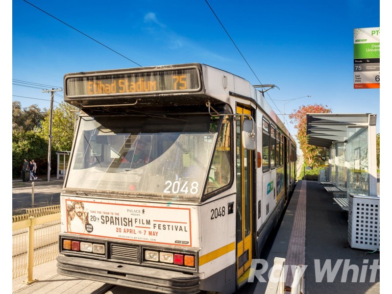 14 Delany Avenue, Burwood VIC 3125