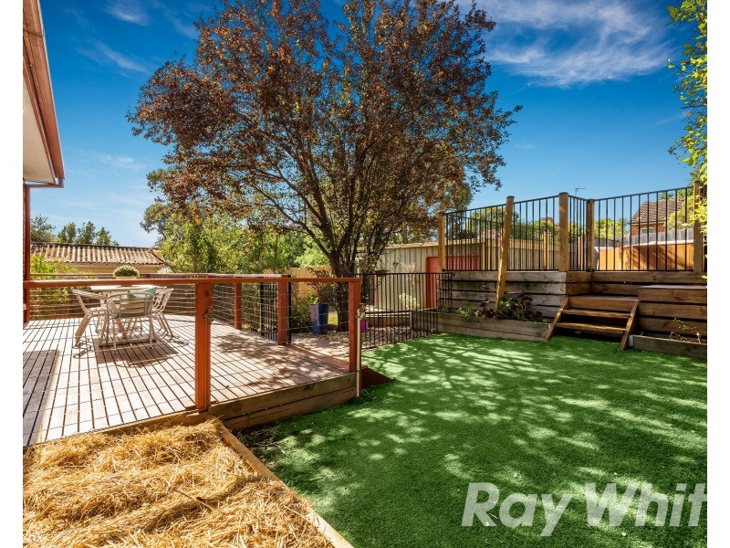 4 Inglis Street, Box Hill North VIC 3129