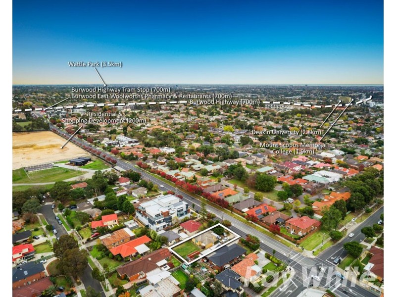 96 Middleborough Road, Blackburn South VIC 3130