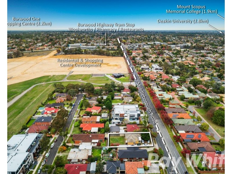 96 Middleborough Road, Blackburn South VIC 3130