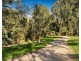 96 Middleborough Road, Blackburn South VIC 3130