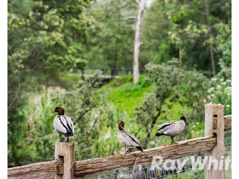 199 Canterbury Road, Blackburn VIC 3130