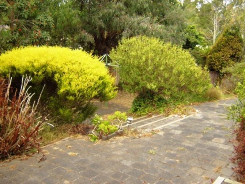 29 Coltain Street, Vermont South VIC 3133