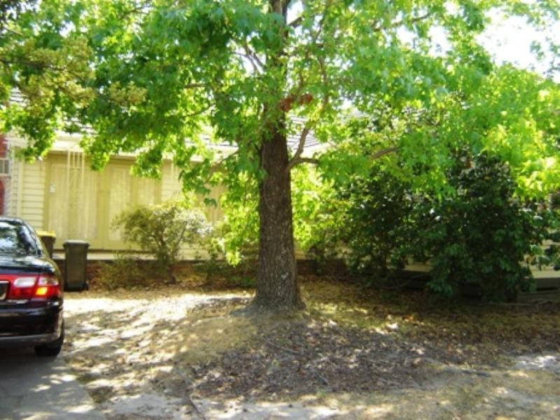 189 Springfield Road, Blackburn North VIC 3130