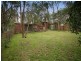 8 Jeffery Street, Blackburn VIC 3130
