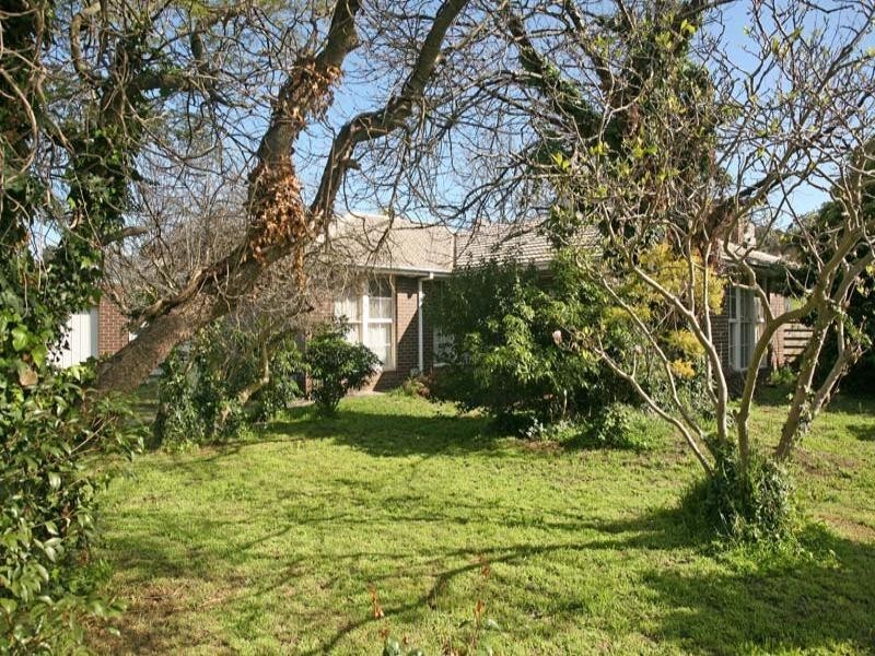 17 Akuna Avenue, Notting Hill VIC 3168