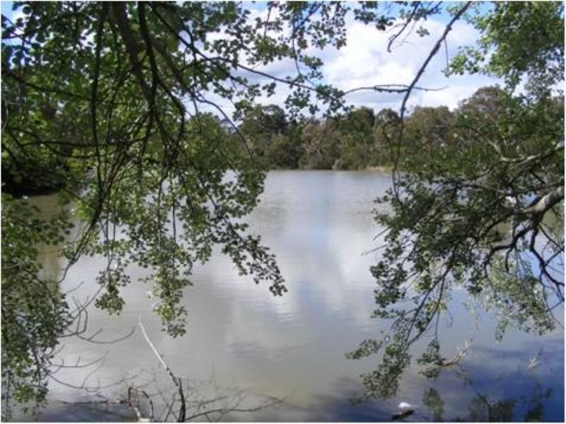 99 Lake Road, Blackburn VIC 3130