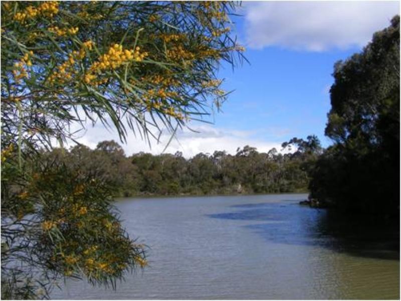 99 Lake Road, Blackburn VIC 3130