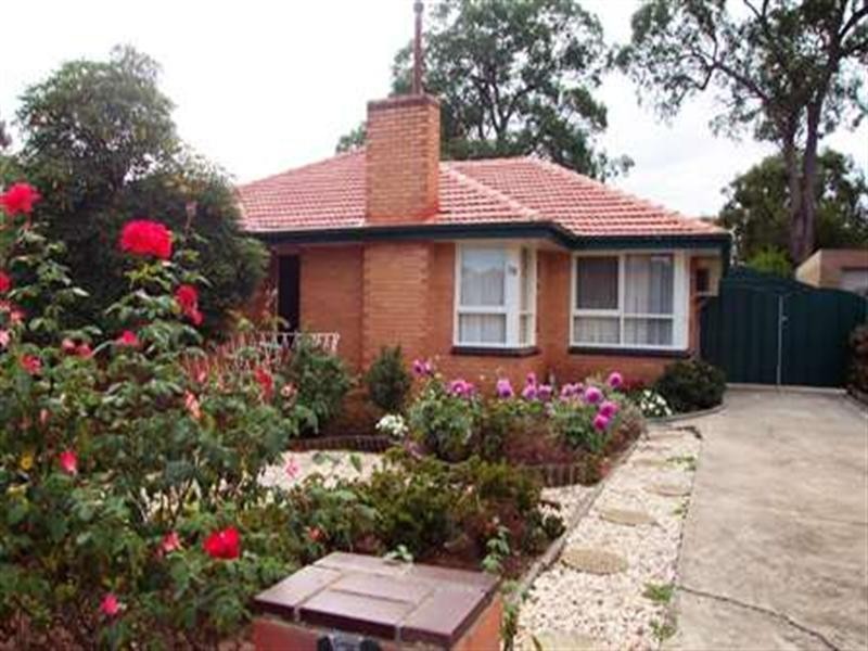 19 Tucker Road, Vermont VIC 3133