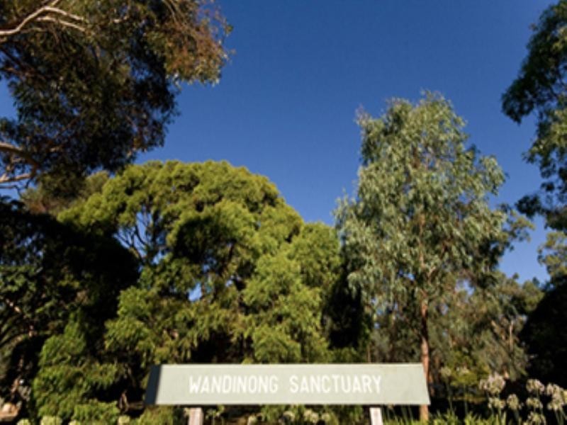 11 Ronley Street, Blackburn VIC 3130