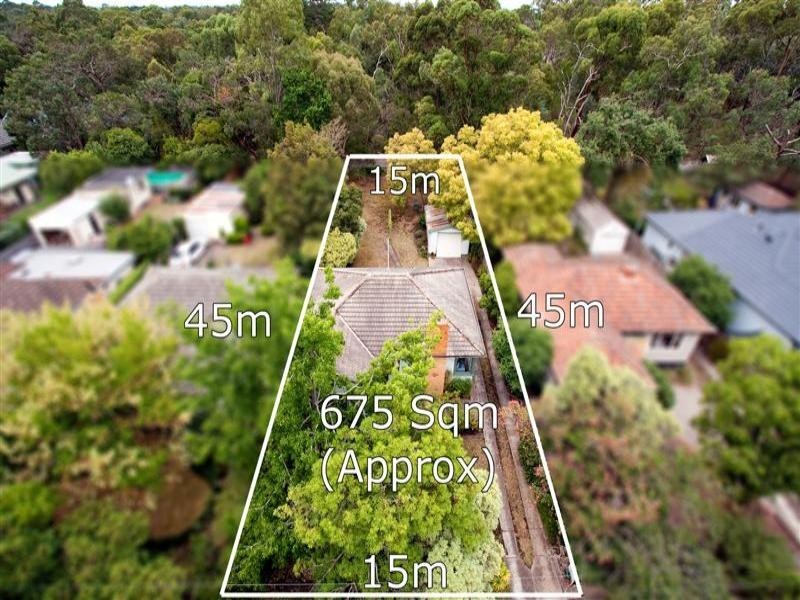 11 Ronley Street, Blackburn VIC 3130