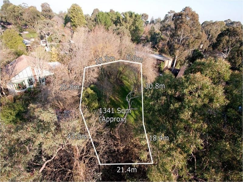 1 Halley Street, Blackburn VIC 3130