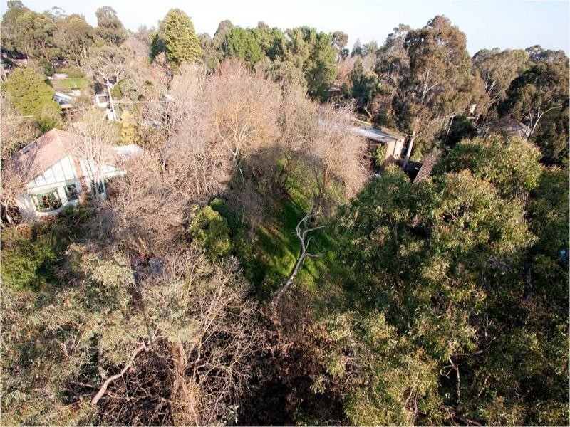 1 Halley Street, Blackburn VIC 3130