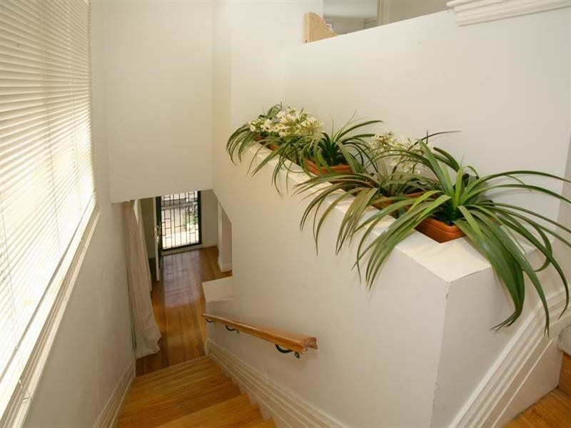 8 The Terrace, Blackburn VIC 3130