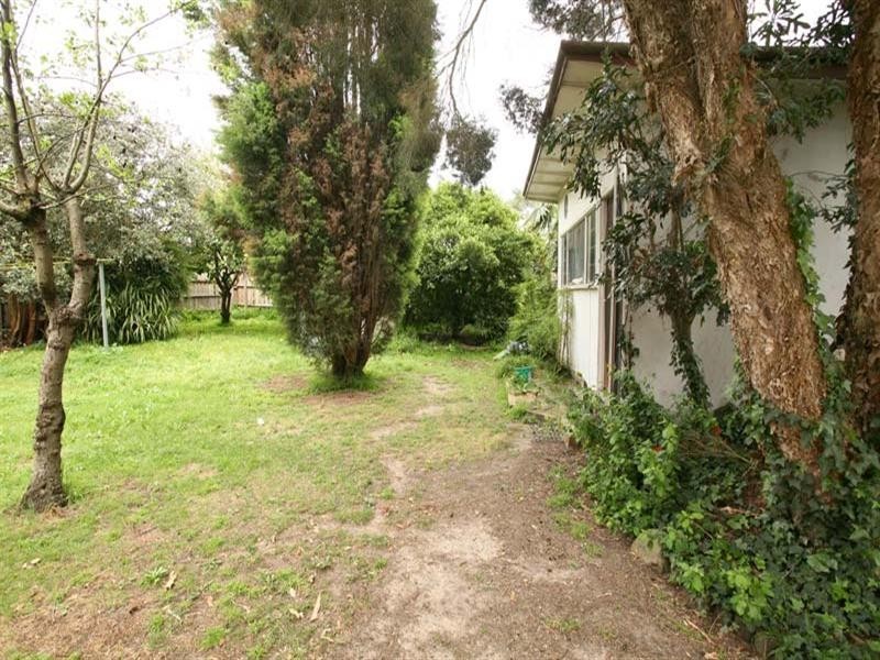 5 Martin Court, Forest Hill VIC 3131