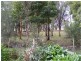 11 Mayo Court, Wandin North VIC 3139