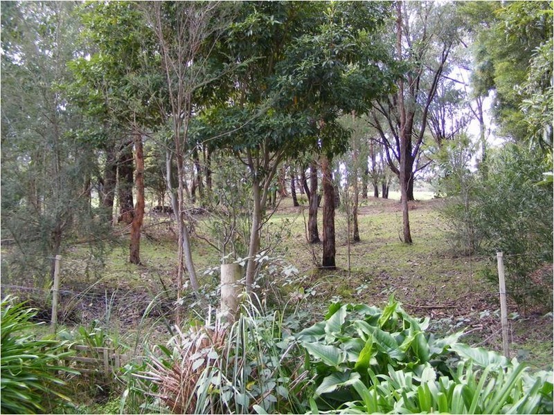 11 Mayo Court, Wandin North VIC 3139