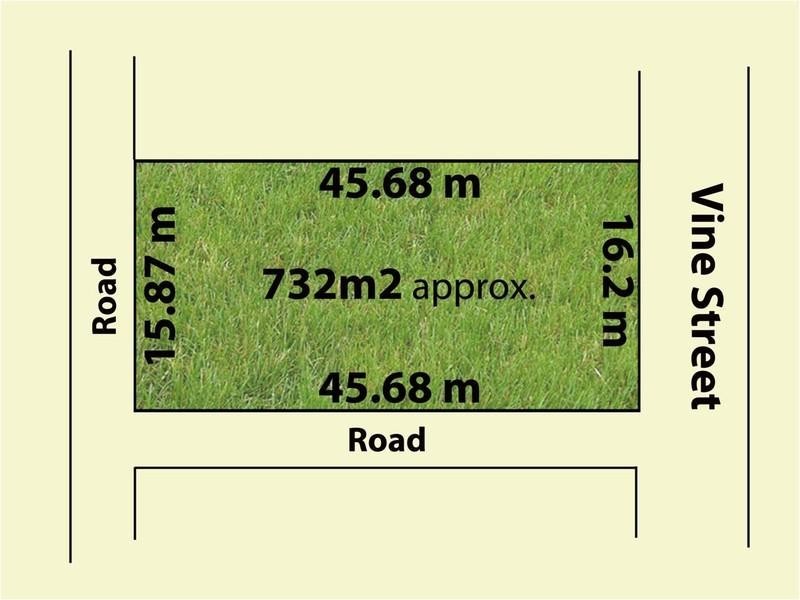 20 Vine Street, Blackburn VIC 3130