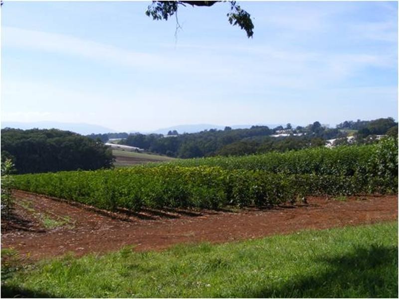 4 Wiseman Road, Monbulk VIC 3793