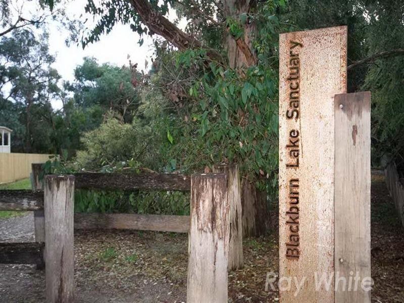 22 Clifton Street, Blackburn VIC 3130