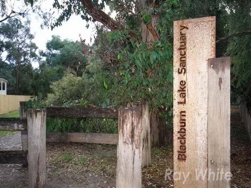 22 Clifton Street, Blackburn VIC 3130