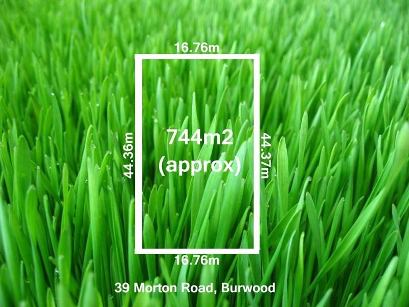 39 Morton Road, Burwood VIC 3125