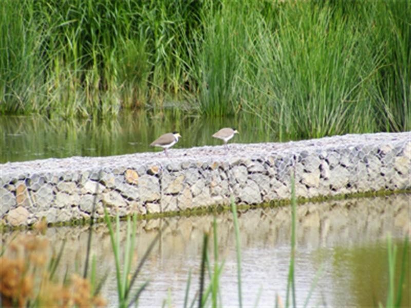 Lot 208 The Range Boulevard, Croydon VIC 3136