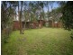 8 Jeffery Street, Blackburn VIC 3130