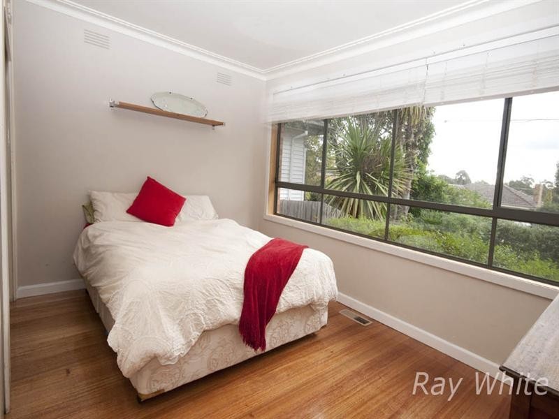 19 Harrow Street, Blackburn South VIC 3130