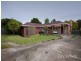 19 Harrow Street, Blackburn South VIC 3130