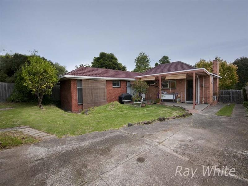 19 Harrow Street, Blackburn South VIC 3130